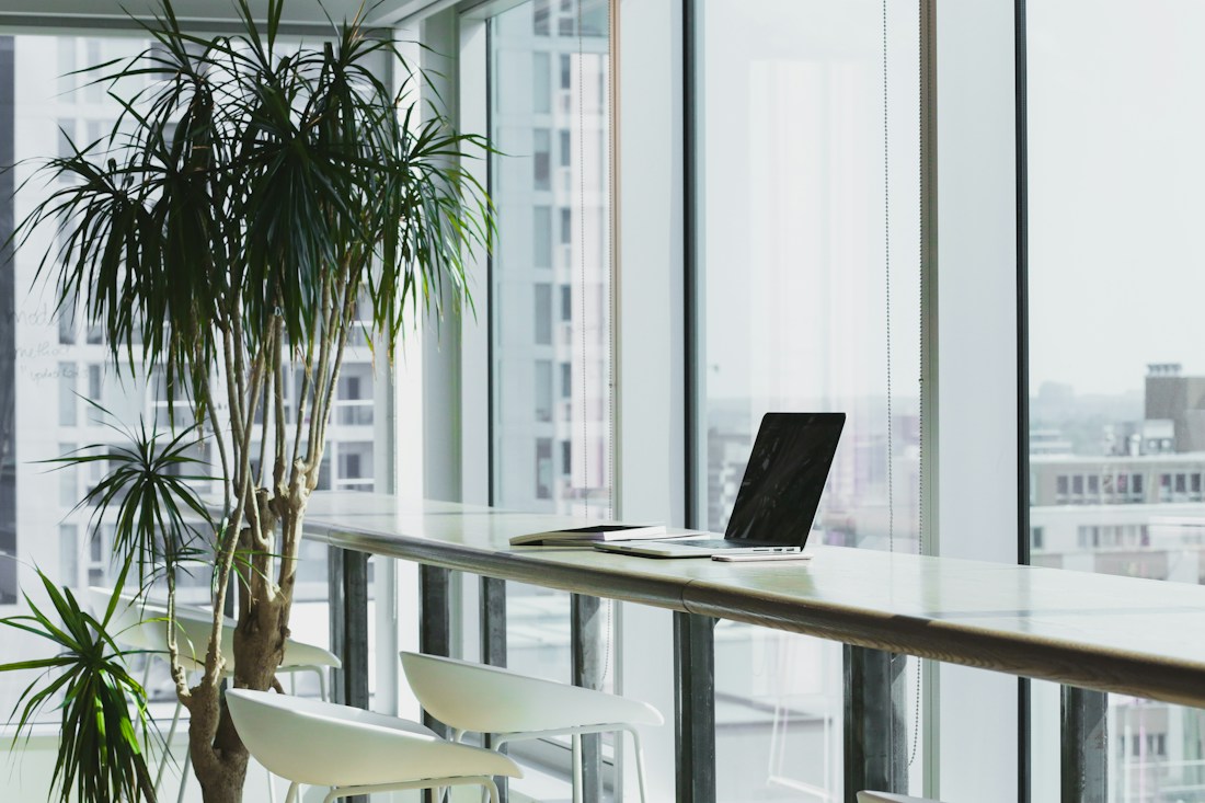 A bright workspace filled with natural light